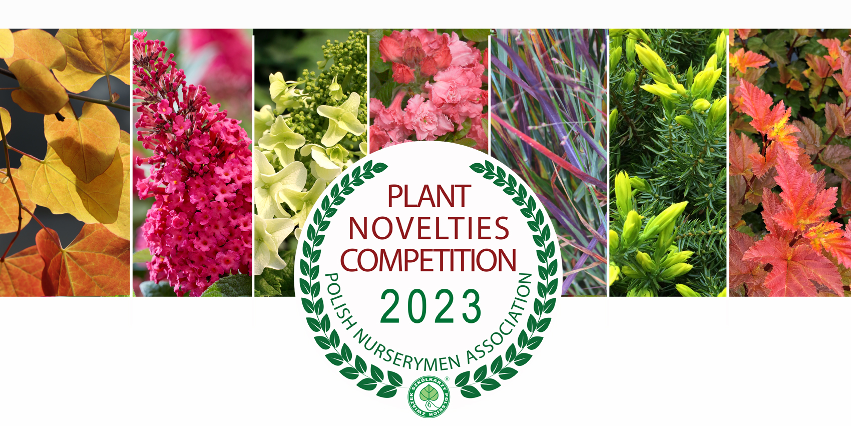 PLANT NOVELTIES COMPETITION - Polish Nurserymen Association